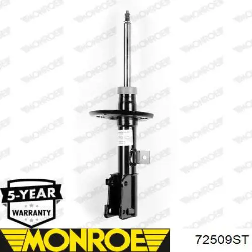 Amortecedor dianteiro direito Raiso RS315642