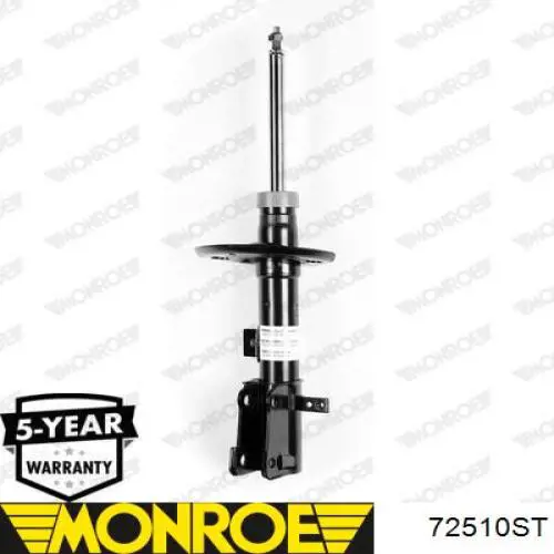 Amortecedor dianteiro esquerdo Raiso RS315641