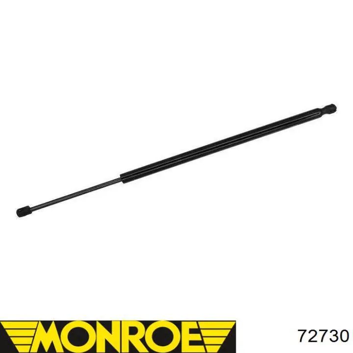 Amortecedor dianteiro esquerdo Ford AST24669 preço, a partir de 149,98 USD