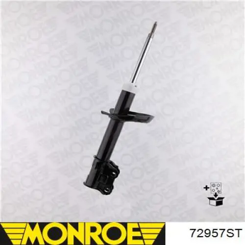 Compre RS316881 Raiso Amortecedor traseiro