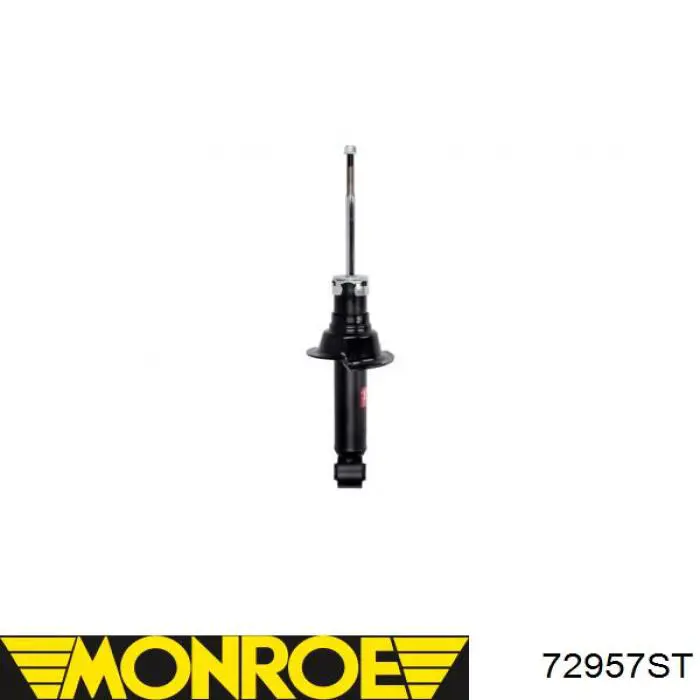  Raiso RS316881