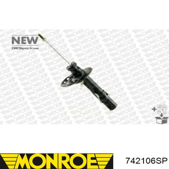 Amortecedor dianteiro direito RS313749 Raiso