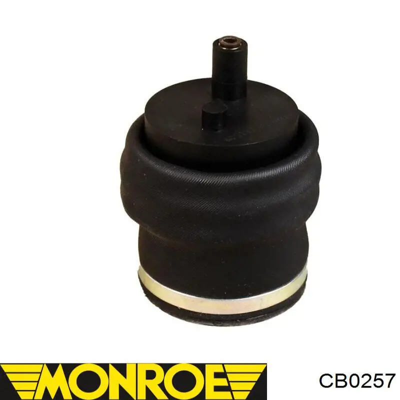 Coxim pneumático de cabina 5010629414 Renault (RVI)