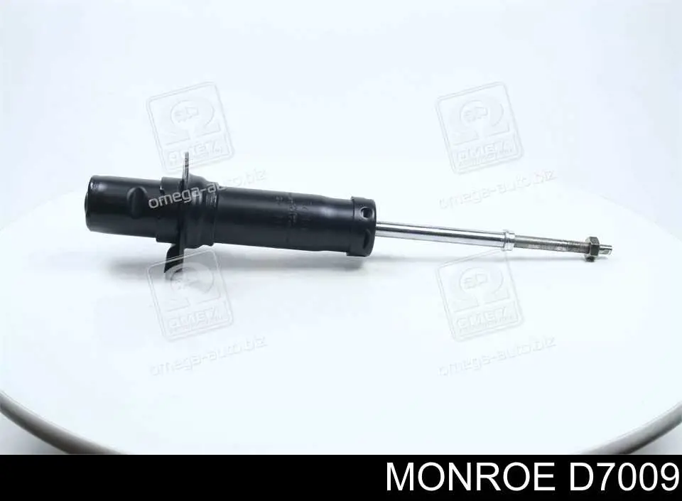 Compre RS317613 Raiso Amortecedor dianteiro