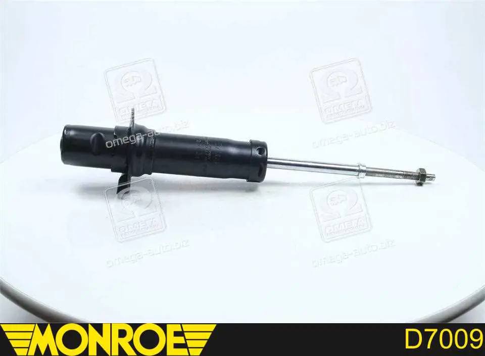 Amortecedor dianteiro RS317613 Raiso