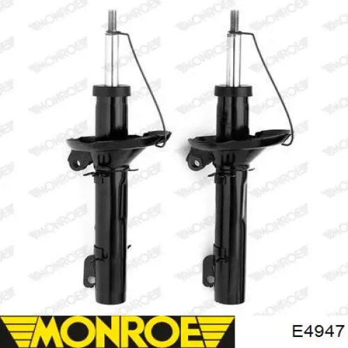 Amortecedor dianteiro RS317368 Raiso