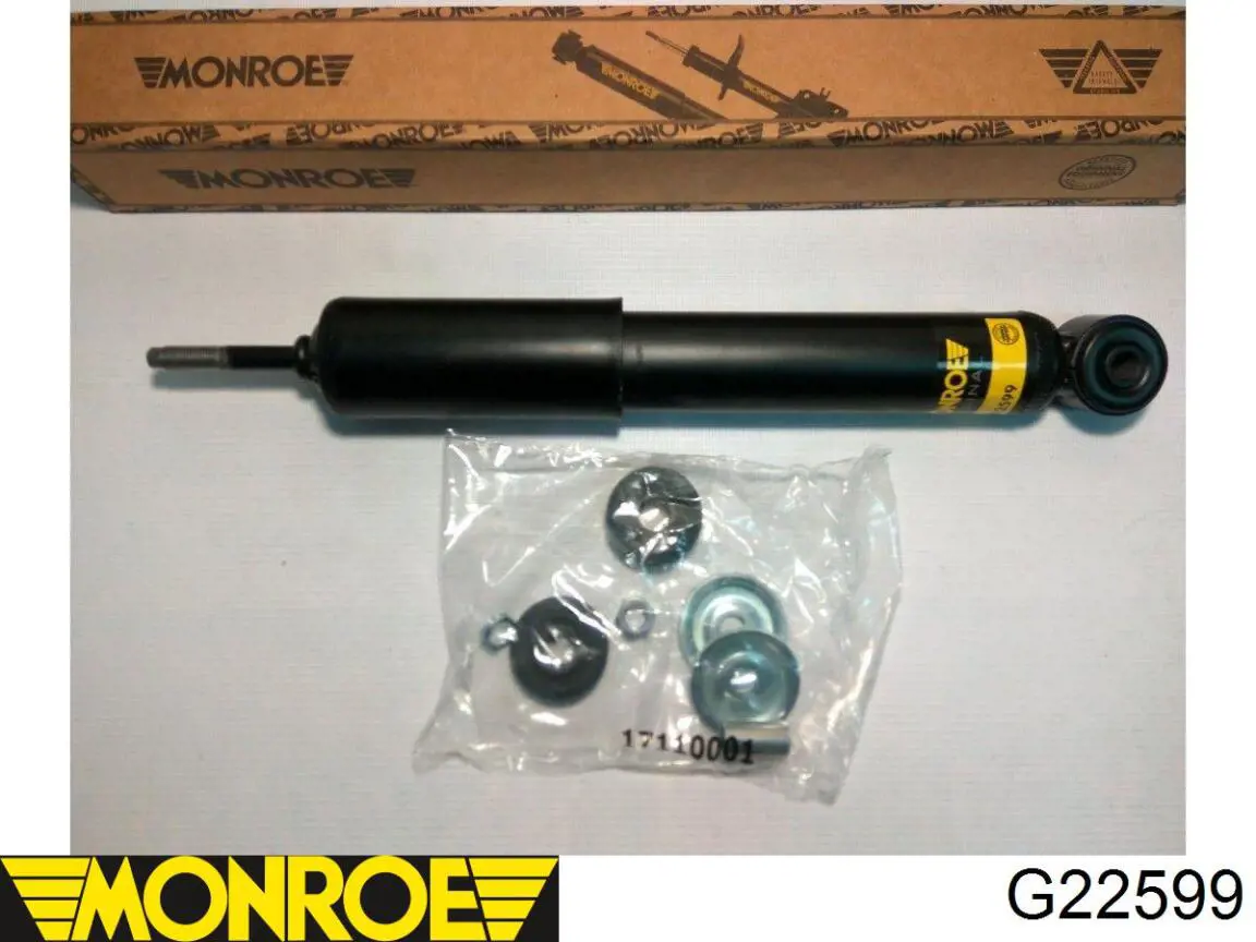 Compre RS170579 Raiso Amortecedor dianteiro