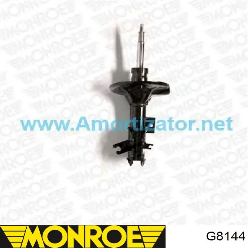 Amortecedor dianteiro esquerdo RS312896 Raiso