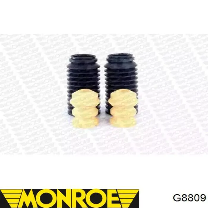 Compre RS298959 Raiso Amortecedor dianteiro direito
