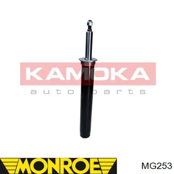 Compre RS100678 Raiso Amortecedor dianteiro