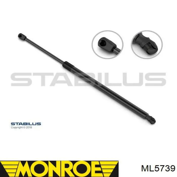 Compre 1257805 Starline Amortecedor da capota
