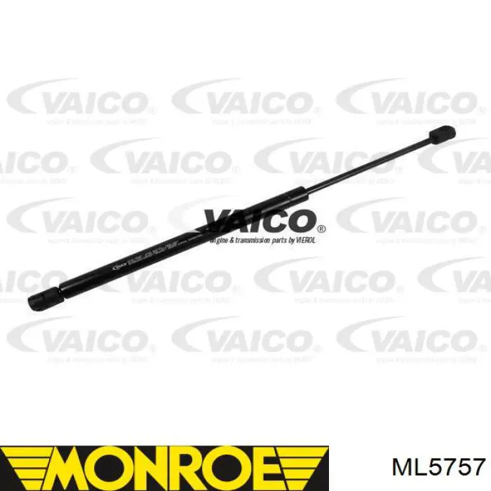 Amortecedor de tampa de porta-malas (de 3ª/5ª porta traseira) GS0823 Magneti Marelli