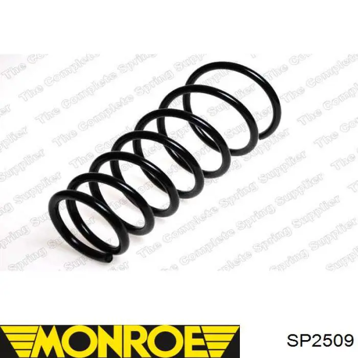 SP2509 Monroe Mola traseira