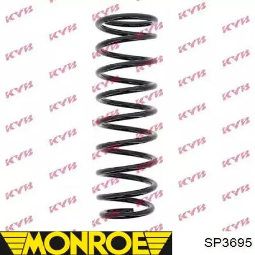 Compre SP3695 Monroe Mola traseira