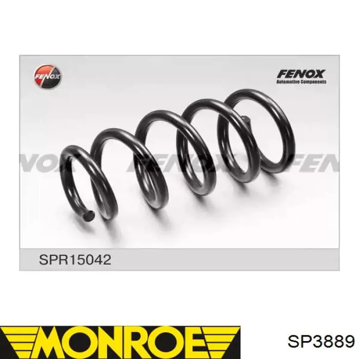 Mola traseira SR100TP Raiso