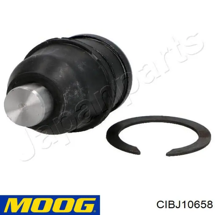CIBJ10658 Moog Suporte de esfera inferior