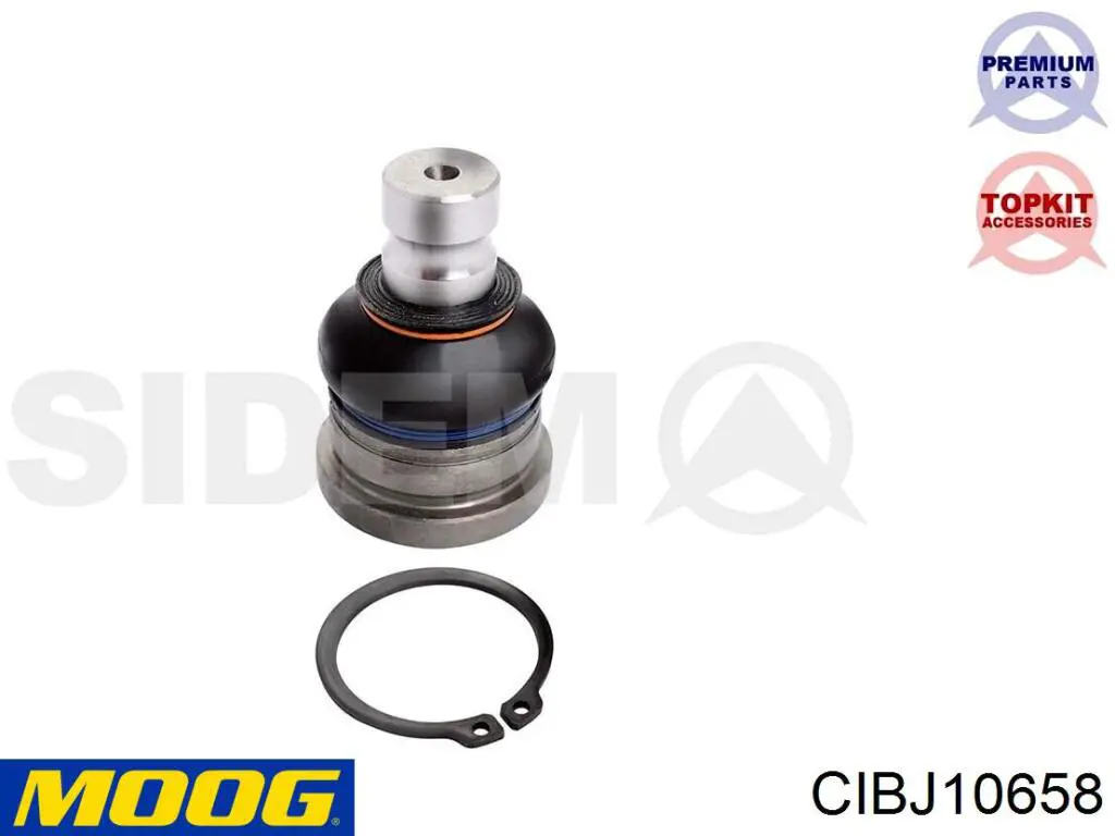 Compre CIBJ10658 Moog Suporte de esfera inferior