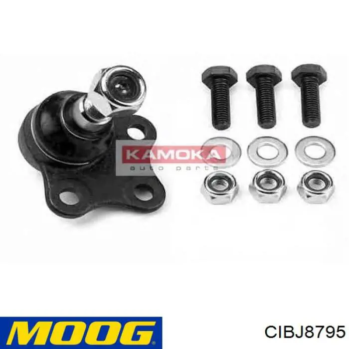 Compre CIBJ8795 Moog Suporte de esfera inferior