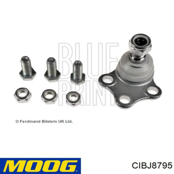 Suporte de esfera inferior Moog CIBJ8795 preço, a partir de 18,16 USD