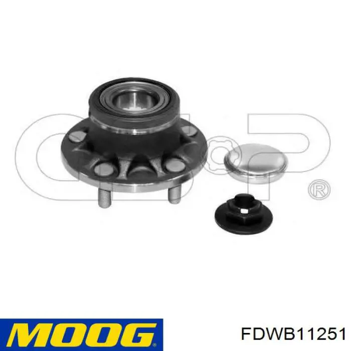 Compre FDWB11251 Moog Cubo traseiro