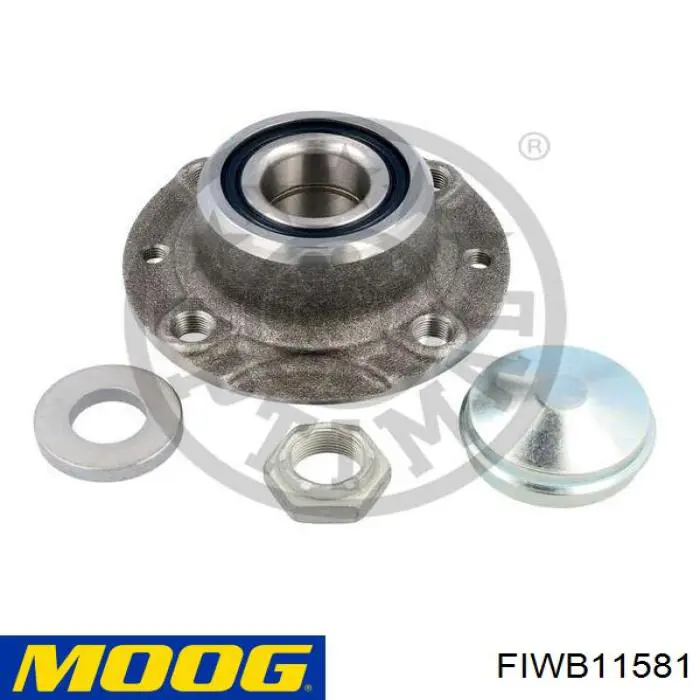 Compre FIWB11581 Moog Cubo traseiro