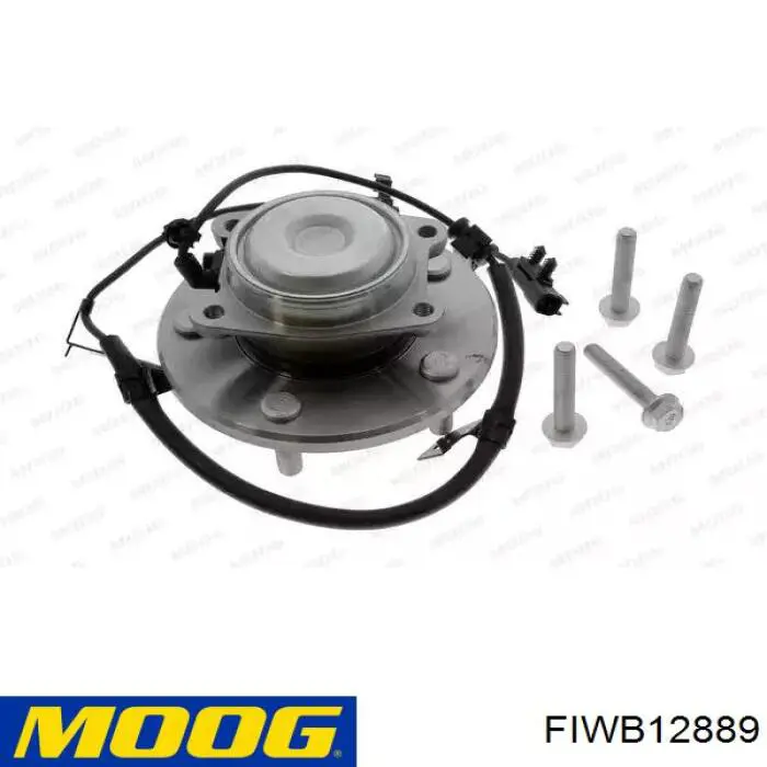 FIWB12889 Moog Cubo traseiro esquerdo