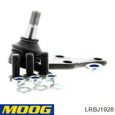 Compre LRBJ1928 Moog Suporte de esfera inferior