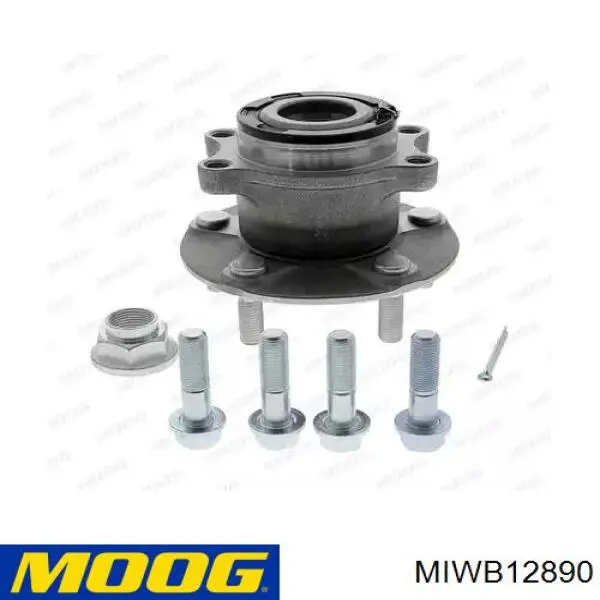 MIWB12890 Moog Cubo traseiro