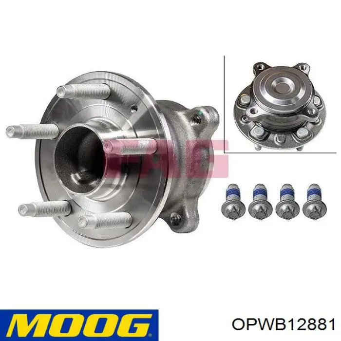 OPWB12881 Moog Cubo traseiro