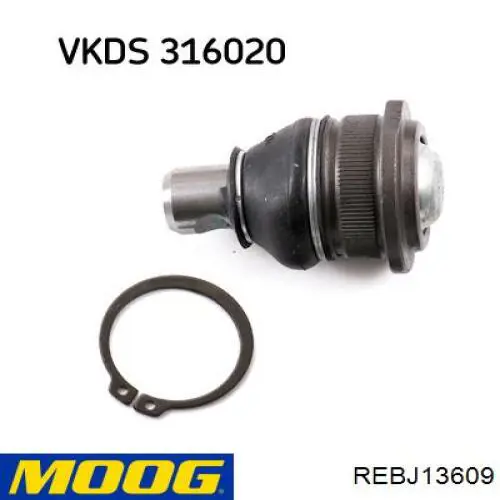 REBJ13609 Moog Suporte de esfera inferior