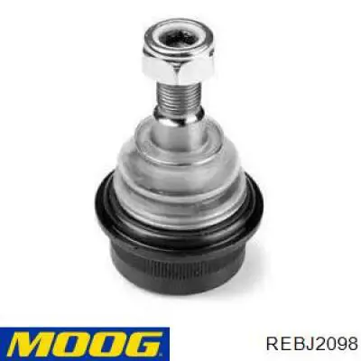 Compre REBJ2098 Moog Suporte de esfera superior