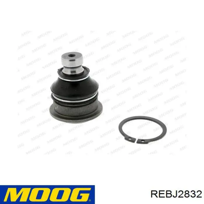 Compre REBJ2832 Moog Suporte de esfera inferior