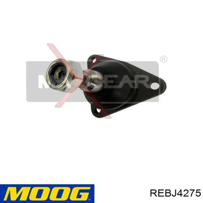 Compre REBJ4275 Moog Suporte de esfera inferior