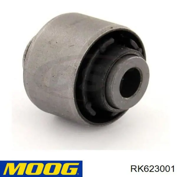 Compre RL9Z3079A Raiso Braço oscilante inferior esquerdo de suspensão dianteira