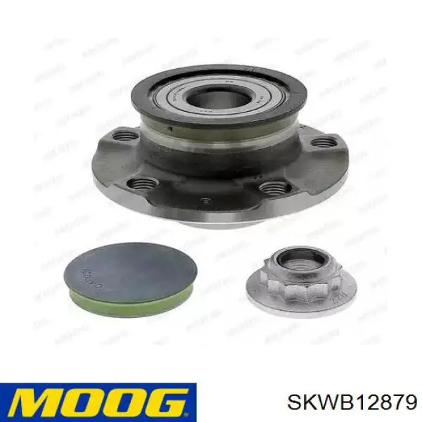 SKWB12879 Moog Cubo traseiro
