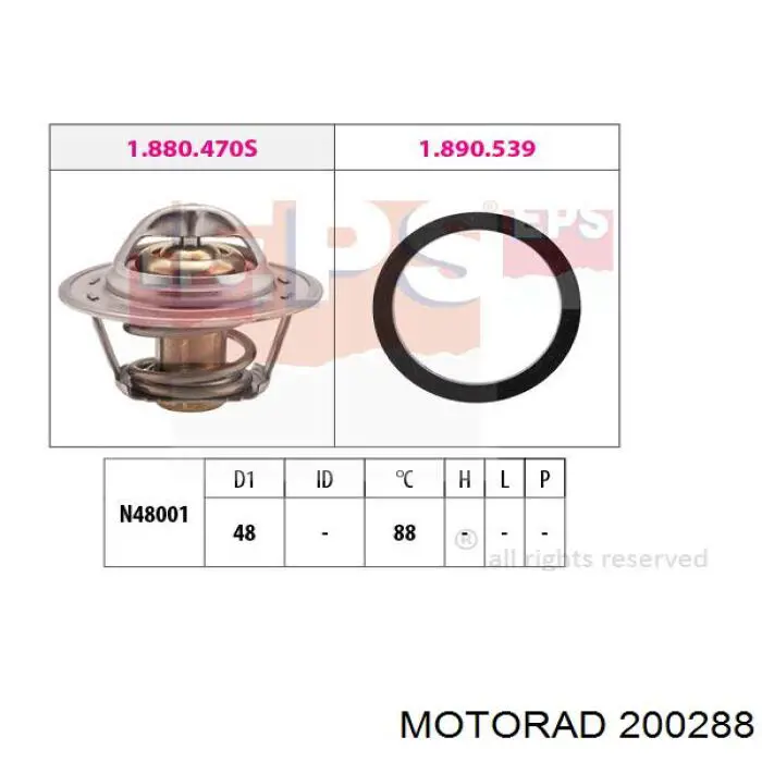 Compre 200288 Motorad Termostato