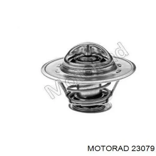 23079 Motorad Termostato
