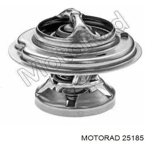 25185 Motorad Termostato