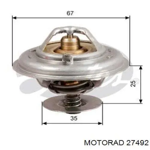 Compre 27492 Motorad Termostato