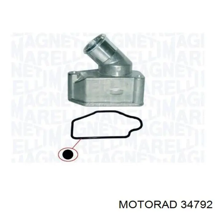 Compre 34792 Motorad Termostato
