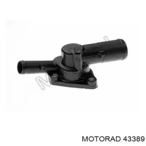 43389 Motorad Termostato