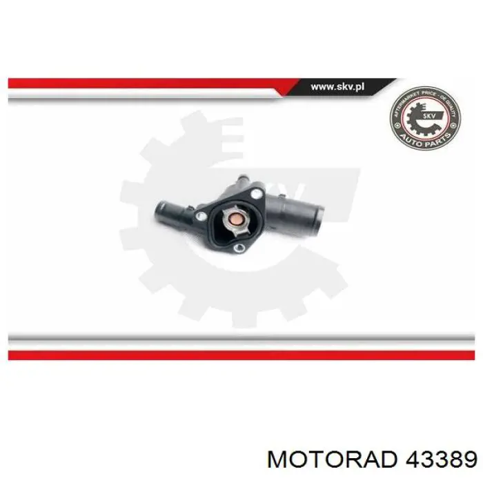 Compre 43389 Motorad Termostato