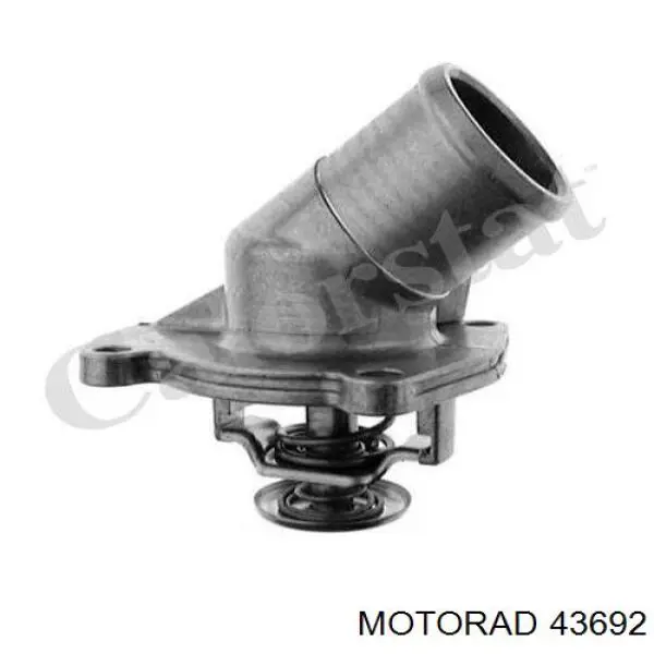 Compre 43692 Motorad Termostato
