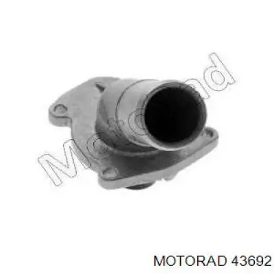 Compre 43692 Motorad Termostato