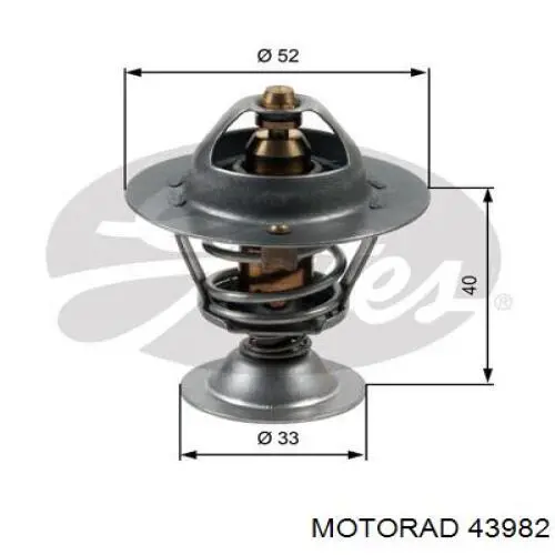 43982 Motorad Termostato