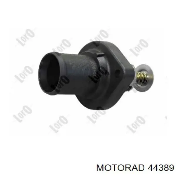 Compre 44389 Motorad Termostato