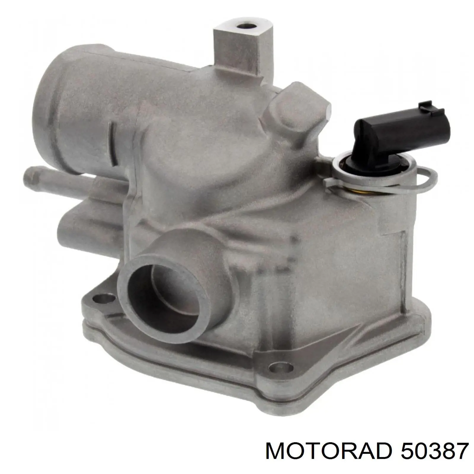 50387 Motorad Termostato