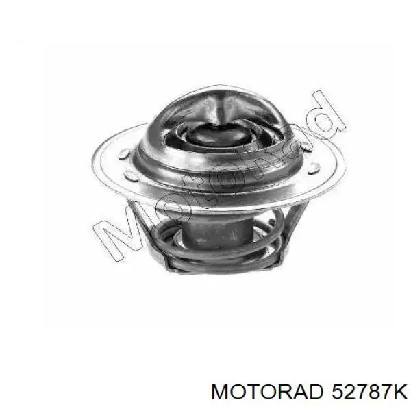 Compre 52787K Motorad Termostato