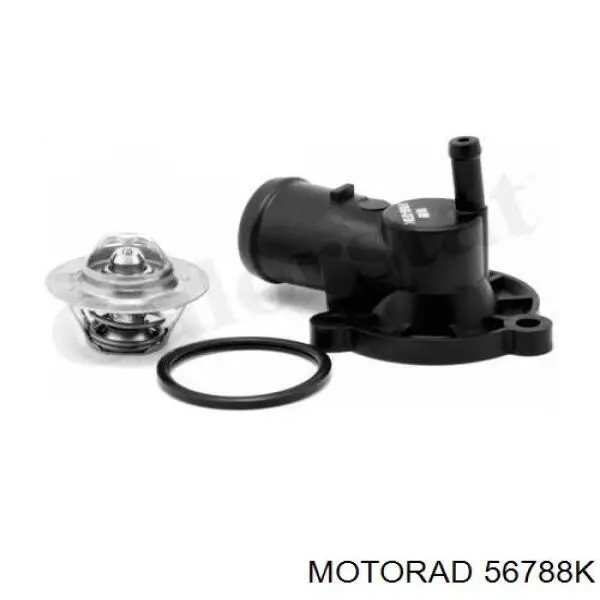 952201 Cautex Termostato