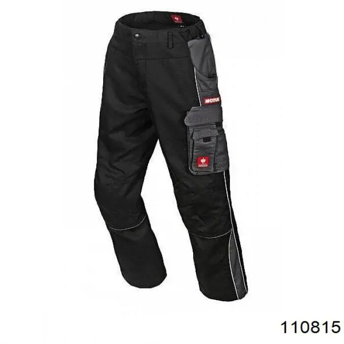 110815 Motul Óleo para motor